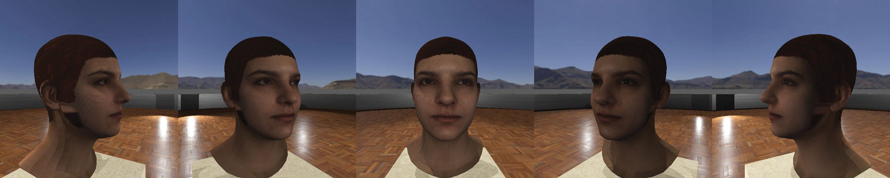 Examples of 3D face models